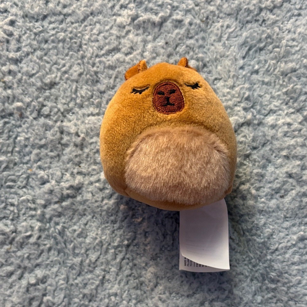 Squishmallows Little Cabybara Plush 2.5 inch